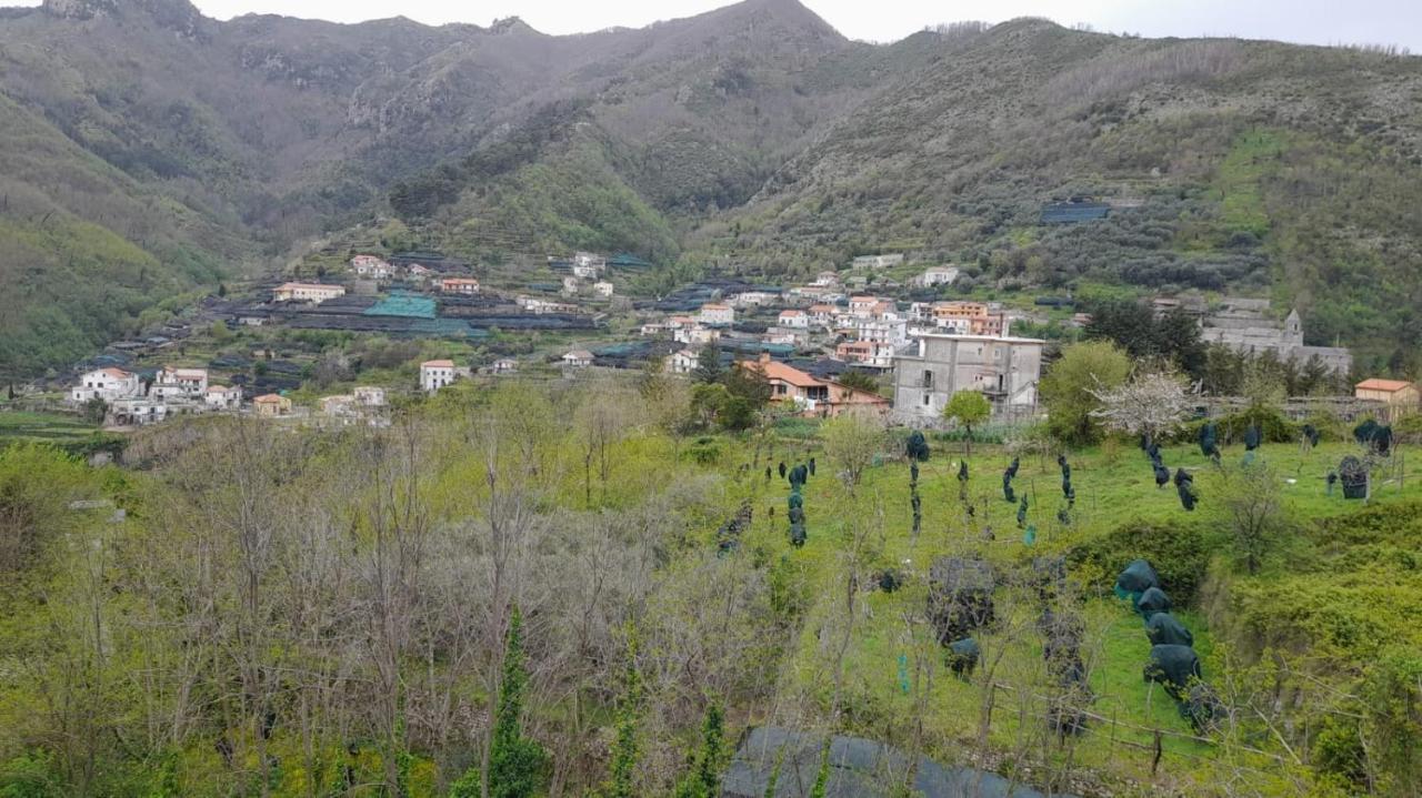 Hotel Affittacamere Novella Tramonti Kültér fotó