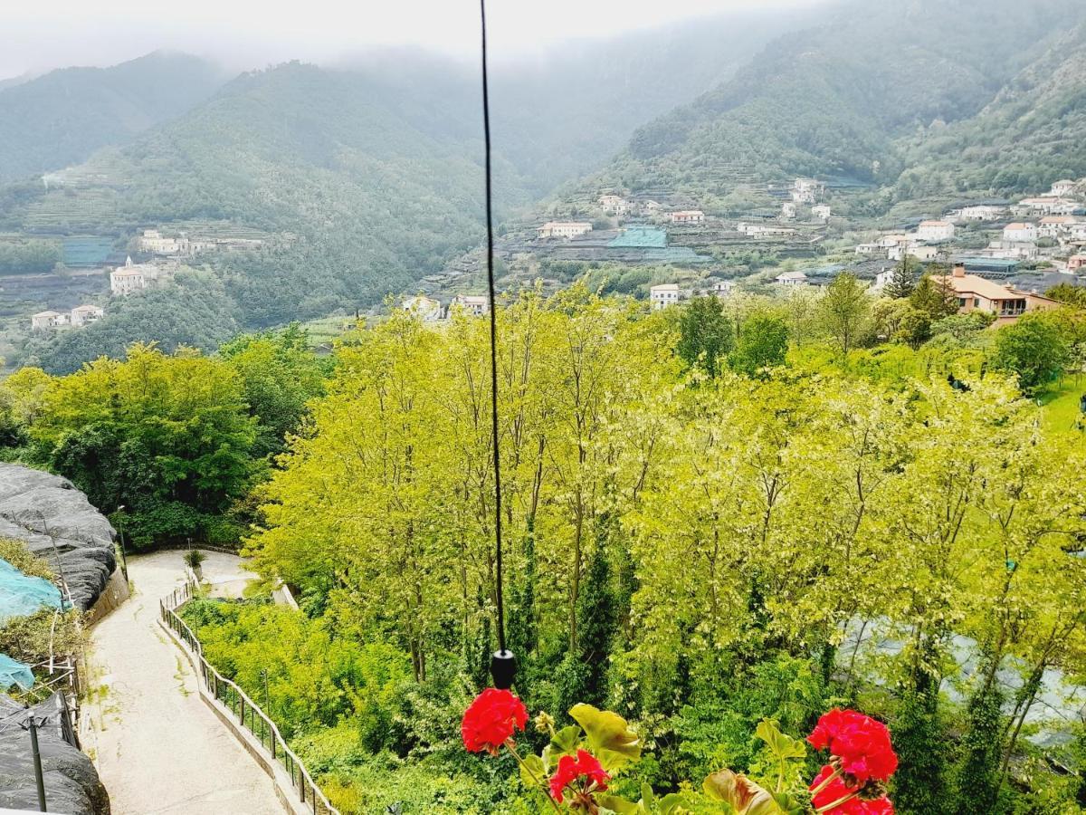 Hotel Affittacamere Novella Tramonti Kültér fotó