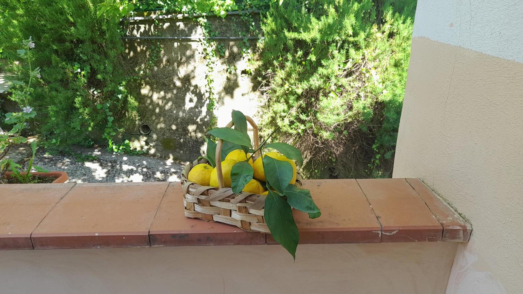 Hotel Affittacamere Novella Tramonti Szoba fotó